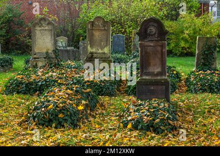 Deutschland, Gescher, Berkel, Naturpark hohe Mark Westmuensterland, Muensterland, Westfalen, Nordrhein-Westfalen, jüdischer Friedhof, Grabsteine, Spätschwärmer, Herbstblätter Stockfoto