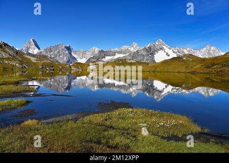 Grand Jorass, Aiguille du Talefre, Aiguille du Triolet und Mont Dolent im Spiegel von Lac de Fenêtre, Kanton Valais, Schweiz, Europa Stockfoto