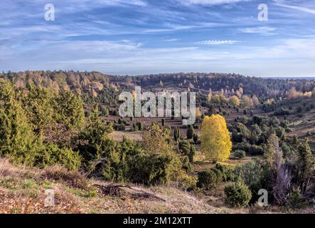 Totengrund in der Lüneburger Heide an einem sonnigen Herbstmorgen Stockfoto