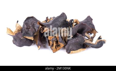 Trockener schwarzer Pilz, isoliert auf weißem Hintergrund. Chinesischer schwarzer Pilz oder Baum schwarzer Muer Pilz. Auricularia polytricha Stockfoto