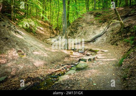 Eine Schlucht im Binger Wald, geschaffen von der Hasselbach, die in den Morgenbach fließt, Kobolde und Hexen sind in mehr als 65 Schnitzereien auf Bäumen, Baumstümpfen und Wurzeln geschnitzt, mehrere Brücken erleichtern den Weg, Steckeschläfer bedeutet, den Stock hinter Ihnen zu ziehen, Stockfoto