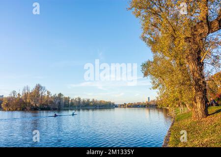 Wien, Ochsenbogensee Alte Donau (Alte Donau), Bäume in Herbstfarben, Paddler im Jahr 22. Donaustadt, Österreich Stockfoto