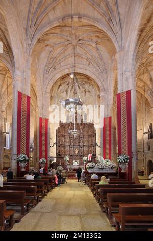 Blick von innen auf die Kirche Iglesia Concatedral de Santa Maria, Plaza de Santa Maria, UNESCO-Altstadt, Caceres, Extremadura, Spanien, Europa Stockfoto