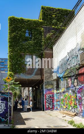 TORONTO, KANADA - 18. JUNI 2022: Teil der Grafitti Alley (Rush Lane) im Zentrum von Toronto an einem sonnigen Tag. Stockfoto