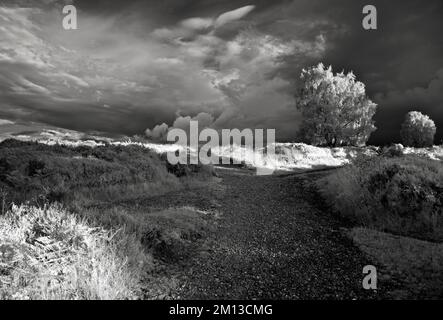 Schwarzweiß-Infrarotfoto von aufstrebenden Sturmwolken über dem Herzen von England Way in Cannock Chase AONB Area of Outstanding Natural Beauty Stockfoto