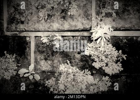 Schwarzweißfoto von British Waterways Canalside mit einem Sepia-farbigen Infrarotbild mit Lichtformen, die auf der Wasseroberfläche gespiegelt sind Stockfoto