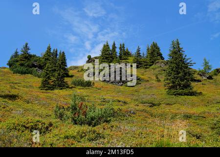 Ein Wanderweg mit Blick auf die malerische alpine Landschaft am Fuße des Dachsteins in den österreichischen Alpen der Region Schladming-Dachstein Stockfoto