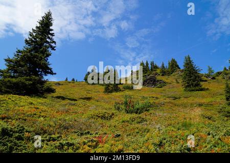 Ein Wanderweg mit Blick auf die malerische alpine Landschaft am Fuße des Dachsteins in den österreichischen Alpen der Region Schladming-Dachstein Stockfoto