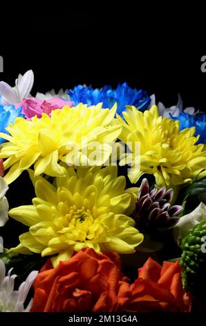 Strauß aus mehrfarbigen Chrysanthemen und Rosen im Dunkeln mit Licht von oben nach oben Stockfoto