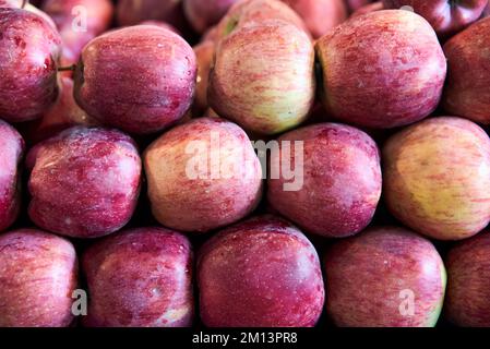 Rote Bio-Äpfel in großen Mengen Stockfoto