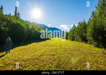 Weibliche Senioren Wanderungen abgelegene Landebahn durch den Wald; Discovery Yukon Lodge & RV Campground; Beaver Creek; Yukon; Kanada Stockfoto