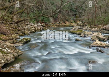 Das Wasser, das durch einen felsigen Fluss im Cumberland Mountain Tennessee fließt, zeigt den friedlichen, surrealen Ton der Wildnis. Stockfoto