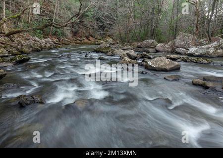 Das Wasser, das durch einen felsigen Fluss im Cumberland Mountain Tennessee fließt, zeigt den friedlichen, surrealen Ton der Wildnis. Stockfoto