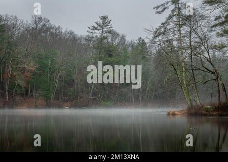 An einem kalten, regnerischen Tag bildet sich Nebel über einem Abschnitt des Byrd Creek im Cumberland State Park, Tennessee, und bietet eine wunderschöne Kulisse für Naturszenen. Stockfoto