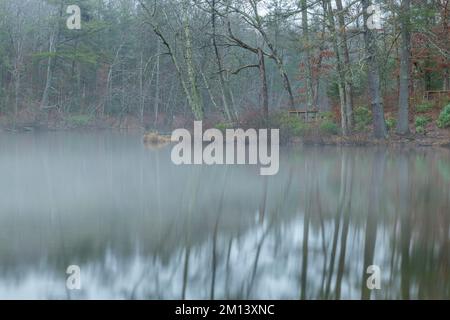 An einem kalten, regnerischen Tag bildet sich Nebel über einem Abschnitt des Byrd Creek im Cumberland State Park, Tennessee, und bietet eine wunderschöne Kulisse für Naturszenen. Stockfoto