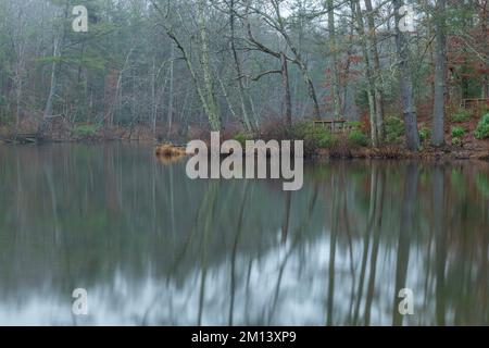 Das glasige Wasser am Byrd Creek Lake im Cumberland State Park, Tennessee, bietet an einem kalten, regnerischen Tag eine wunderschöne Kulisse für Naturszenen. Stockfoto