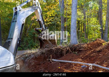 Bäume müssen entwurzelt werden und landen, um sie für den Bau mit dem Traktor vorzubereiten Stockfoto