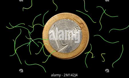 Thiomargarita Magnifica und eine Euro-Münze, Illustration Stockfoto