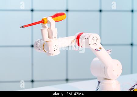 Schraubendreher für Roboterarm Stockfoto