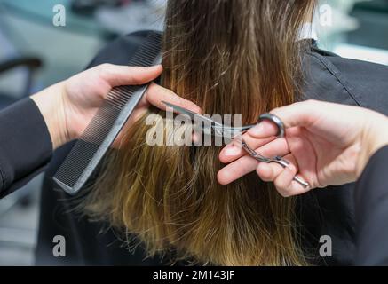 08. Dezember 2022, Sachsen-Anhalt, Wettin-Löbejün: Ein Friseur schneidet einem Kunden in einem Salon die Haare. Die 21-Jährige wird in naher Zukunft den Salon ihrer Großmutter übernehmen. Foto: Jan Woitas/dpa Stockfoto