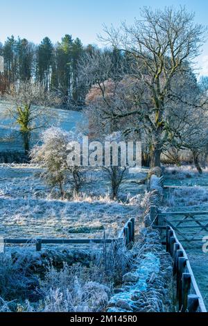 Frostige Felder in der cotswold-Landschaft am Morgen. Coln St Dennis, Cotswolds, Gloucestershire, England Stockfoto