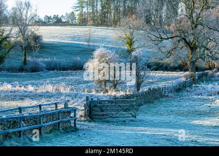 Frostige Felder in der cotswold-Landschaft am Morgen. Coln St Dennis, Cotswolds, Gloucestershire, England Stockfoto