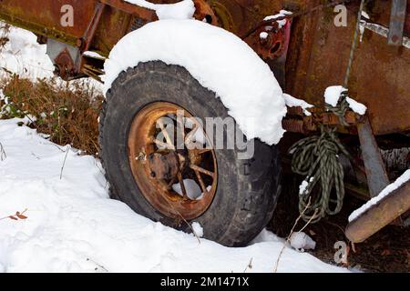 Das Speichenrad eines rostigen McCormick-Deering-Erntemaschinendreschers Nr. 63 im Schnee, am Waldrand, außerhalb von Bonners Ferry, Idaho. Stockfoto