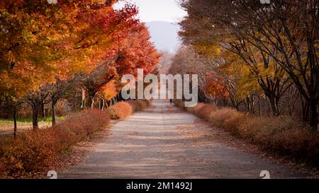 Authentisches koreanisches Folklore-Dorf mit traditionellen strohgedeckten Häusern in einer abgeschiedenen und friedlichen Bergregion. Stockfoto
