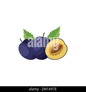 ClipArt-Vektordarstellung mit Damson Plum Flat-Design isoliert auf weißem Hintergrund Stock Vektor