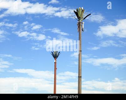 Handymast in Ägypten oder Mobilfunkantenne, getarnt auf gefälschten Palmen, die in angemessenen Abständen entlang von Straßen und Nebenstraßen platziert werden, um ov zu kommunizieren Stockfoto