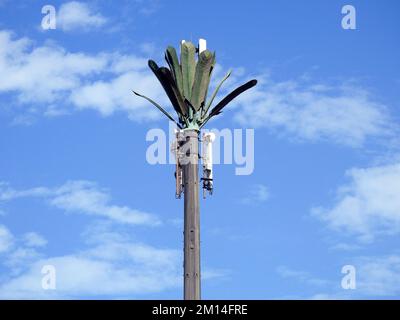 Handymast in Ägypten oder Mobilfunkantenne, getarnt auf gefälschten Palmen, die in angemessenen Abständen entlang von Straßen und Nebenstraßen platziert werden, um ov zu kommunizieren Stockfoto