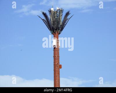 Handymast in Ägypten oder Mobilfunkantenne, getarnt auf gefälschten Palmen, die in angemessenen Abständen entlang von Straßen und Nebenstraßen platziert werden, um ov zu kommunizieren Stockfoto