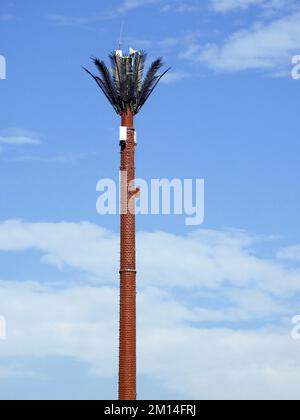 Handymast in Ägypten oder Mobilfunkantenne, getarnt auf gefälschten Palmen, die in angemessenen Abständen entlang von Straßen und Nebenstraßen platziert werden, um ov zu kommunizieren Stockfoto