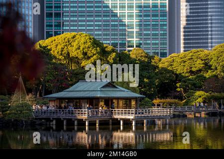 Hamarikyu Gärten in Tokyo, Japan Stockfoto