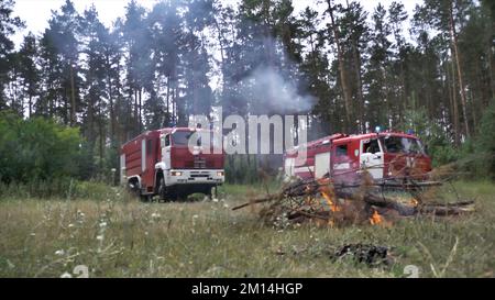 Zwei rote Feuerwehrfahrzeuge mit blinkenden Lichtern, die sich dem Wald nähern, um ein brennendes Feuer zu löschen. Feuerwehrautos auf grüner Wiese mit verlassenem Scheiterhaufen, Wald Stockfoto