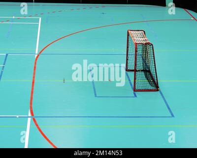 Hallenhalle mit Tor zum Hockeyplatz. Das Gym für Kinder Schulmannschaften spielen Stockfoto