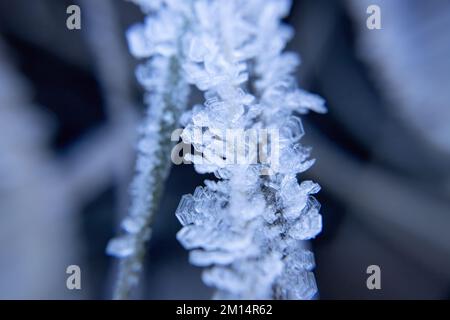 Selektiver Fokus auf Frostkristalle, geringe Tiefenschärfe, kalt- und Winterkonzept Stockfoto