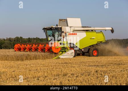 Russland, Kazan - 5. august 2020 : Claas Combine Harvester Ernte eine Ernte von Gerste Stockfoto