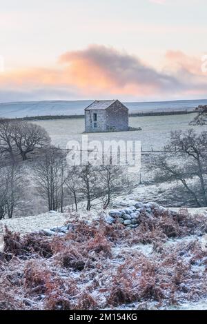 Teesdale, County Durham, Großbritannien. 10.. Dezember 2022 Wetter in Großbritannien. Eine weiße Schicht aus Frost und Eis bedeckt den Boden heute Morgen in Teesdale nach einem weiteren schweren Nachtfrost in Nordostengland. Kredit: David Forster/Alamy Live News Stockfoto