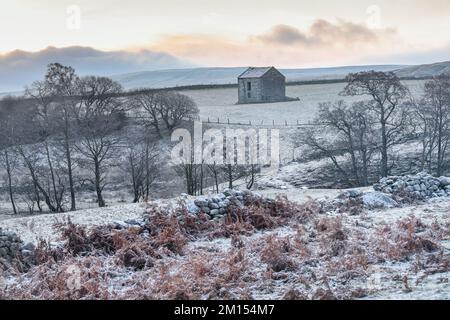 Teesdale, County Durham, Großbritannien. 10.. Dezember 2022 Wetter in Großbritannien. Eine weiße Schicht aus Frost und Eis bedeckt den Boden heute Morgen in Teesdale nach einem weiteren schweren Nachtfrost in Nordostengland. Kredit: David Forster/Alamy Live News Stockfoto