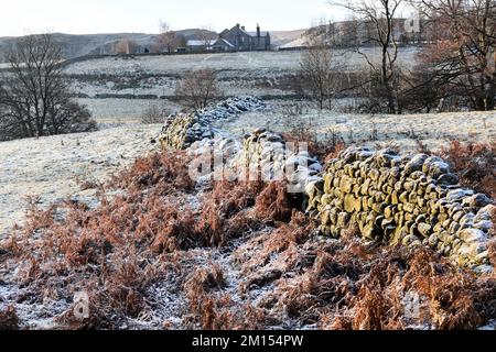 Teesdale, County Durham, Großbritannien. 10.. Dezember 2022 Wetter in Großbritannien. Eine weiße Schicht aus Frost und Eis bedeckt den Boden heute Morgen in Teesdale nach einem weiteren schweren Nachtfrost in Nordostengland. Kredit: David Forster/Alamy Live News Stockfoto