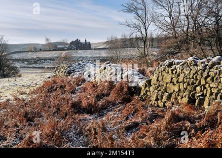 Teesdale, County Durham, Großbritannien. 10.. Dezember 2022 Wetter in Großbritannien. Eine weiße Schicht aus Frost und Eis bedeckt den Boden heute Morgen in Teesdale nach einem weiteren schweren Nachtfrost in Nordostengland. Kredit: David Forster/Alamy Live News Stockfoto