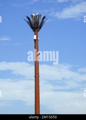 Handymast in Ägypten oder Mobilfunkantenne, getarnt auf gefälschten Palmen, die in angemessenen Abständen entlang von Straßen und Nebenstraßen platziert werden, um ov zu kommunizieren Stockfoto