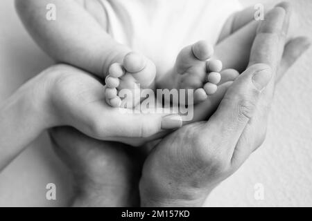 Baby Füße in den Händen von Mutter, Vater, älterer Bruder oder Schwester, Familie. Stockfoto