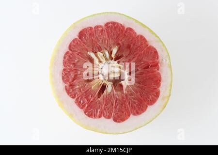 Scheibe Grapefruit oder Pampelfrucht, isoliert auf weißem Hintergrund. Draufsicht Stockfoto