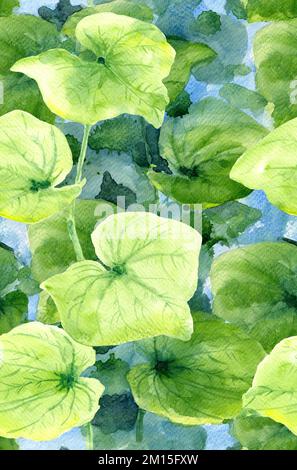 Nahtloses Muster mit grünen Blättern auf Zweigen auf blauem Hintergrund (Hong Kong Orchideenblätter, Auritum). Aquarell realistische, üppige Blattgestaltung. Stockfoto