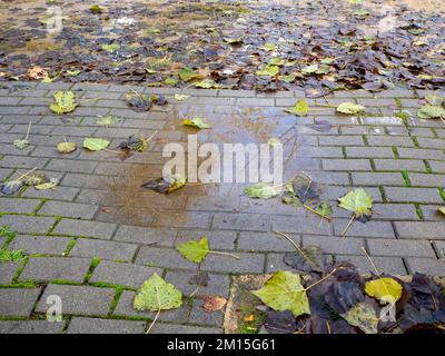 Pfütze in einem Schlagloch auf einer Straße nach einem Regensturm. Risikobegriff und Unsicherheit Stockfoto