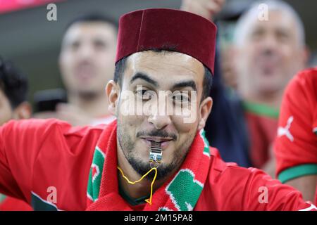 Doha, Katar. 10.. Dezember 2022. firo : 10.12.2022, Fußball, FIFA-WELTMEISTERSCHAFT 2022 KATAR, Weltmeisterschaft 2022 Katar, Weltmeisterschaft 2022 Katar, Viertelfinale, Marokko - portugiesische FANS, MAROKKO/dpa/Alamy Live News Stockfoto