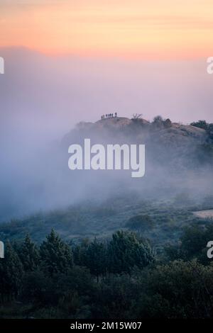 Silhouette von unbekannten Reisefotografen mit Stativen, die Bilder von endlosem hügeligem Gelände mit grünen Bäumen unter Wolken und Nebel machen Stockfoto