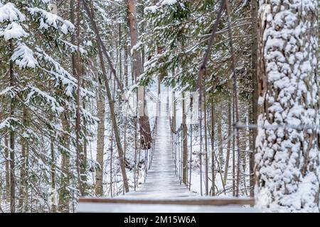 Wunderschöne, an einem Seil hängende Holzbrücke über den Fluss. Winterlandschaft, schneebedeckter Wald. Perspektive, Symmetrie Stockfoto